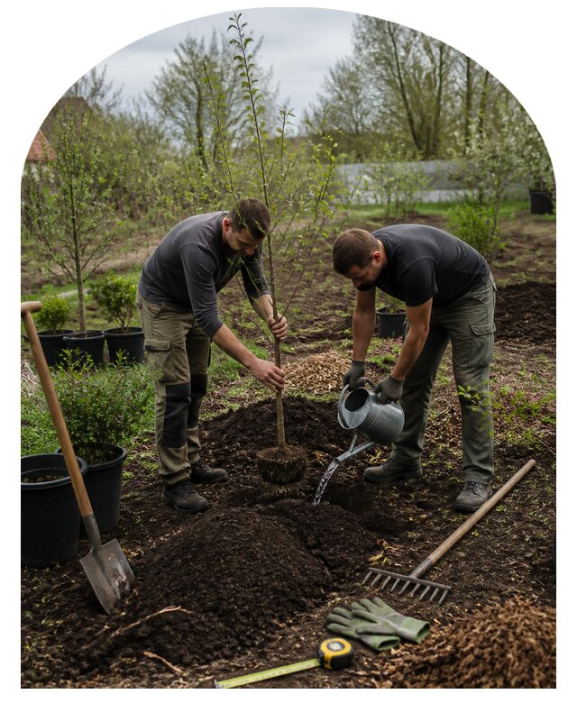 Создание плодового сада под ключ на участке в Петропавловске-Камчатском